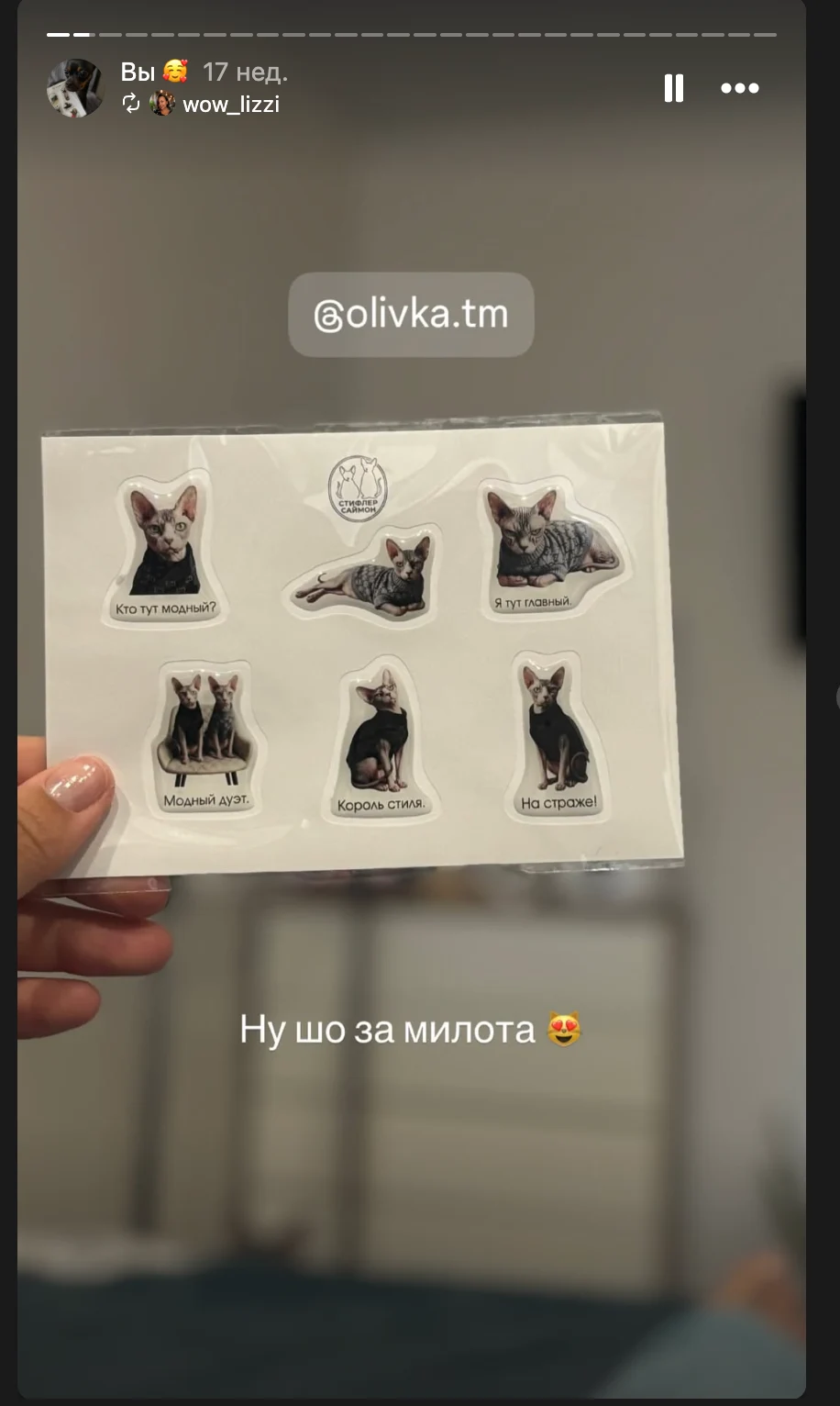 Скриншот отзыва о стикерах со сфинксом